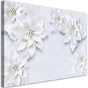 Canvasbillede, Sneklædte planteblomster