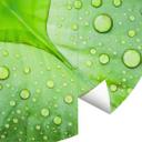 Fototapet - Rundt Foto - Hjerte af vanddråber på grønt blad - vliesetapet/selvklæbende non-woven tap