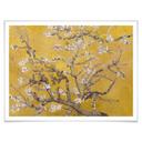 Póster van Gogh - Almendro en Flor Ocre