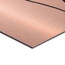 Geborsteld Alu-Dibond met goud-, zilver- & kopereffect - Line Art klaproos - Cats & Dotz