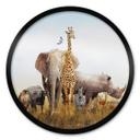Poster rond Animaux africains