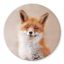 Tableau sur verre van Duijn - Renard content - Rond