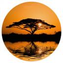 Wallsticker Afrika | Landskab ved solnedgang - Rund