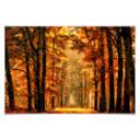 Poster van de Goor - Herfst