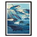 Póster Marrón - Ballenas