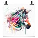 Plakat Heine - Rainbow Zebra