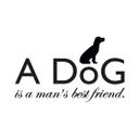 Sticker mural - A dog is a man's best friend
