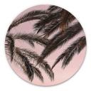 Tableau sur alu-Dibond rond 1X Studio - Palmiers