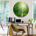 Wandcirkel Alu-Dibond - Sunny Forest