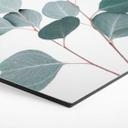 Hexagone - Tableau en alu-Dibond Sisi & Seb - Eucalyptus bleu