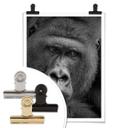 Plakat - Wenner - Gorillaen