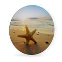 Tableau en Alu-Dibond Etoile de mer dans le sable - Rond