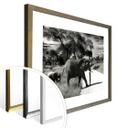 Póster El elefante y su hijo