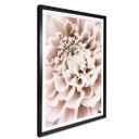 Plakat - 1X Studio - Chrysant