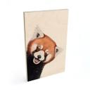 Træbillede Rød Panda - Korenkova