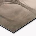 Keukenachterwand Bosmagie in de ochtendnevel Beige - Ms Tiff