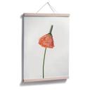 Póster La flor roja 01