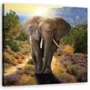 Canvasbillede, Elefant ved solnedgang