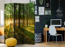 Screen room divider - Morgen i skoven, 3-delt