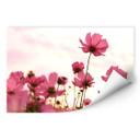Muurprints Roze Bloemen