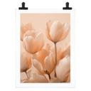 Póster de tulipanes color melocotón - Treechild