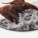 Vægcirkel van den Helm - Highlander – print på aluminium (Alu-Dibond)