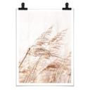 Plakat - Windy Grass