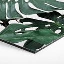 Hexagon Dibond Sisi & Seb - Monstera