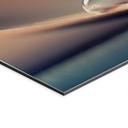 Billede Planter i natten - Jaszke – print på aluminium (Alu-Dibond)