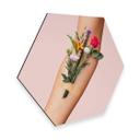 Hexagon Dibond Loose - Flower Aid