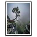 Póster Wonisch - Fuerzas de la naturaleza