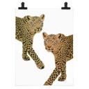 Póster Goed Blauw - Los Leopardos