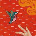Papel pintado Colibrí y mujer en luz roja - Hülya