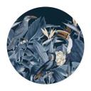 Póster Aves tropicales en el bosque de noche - Haase - Redondo