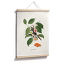 Póster Suelto - Planta de sushi
