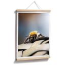 Póster Marrón - Macro abeja