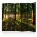 Screen room divider - Morgen i skoven, 3-delt