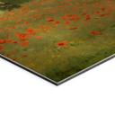 Geborsteld Alu-Dibond met goud-, zilver- & kopereffect - Klaprozenveld bij Argenteuil - Monet