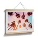 Póster de naturaleza California Dreaming con vista de palmeras - Hugonnard