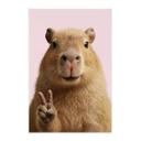Peace Capybara Tekstil plakat