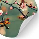Forårsopvågning Wallsticker - Rund