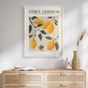 Plakat Frugt - Boho citrontræ - Citrus Limonum - Tunaboylu