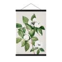 Tekstil plakat botanik illustration af en falsk kamelia - Walcott