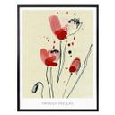 Póster Papaver Rhoeas