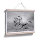 Póster Caballos al galope