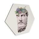 Hexagon Dibond Loose - Succulent Sculpture