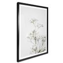 Plakat - Annie - Meadow