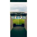 Autocollant de porte FC Hansa Rostock - Stadium Durchgang - 91x200 cm