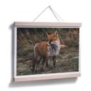 Póster - Fox 02