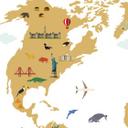 Wallsticker - Verdenskort, Travel the world